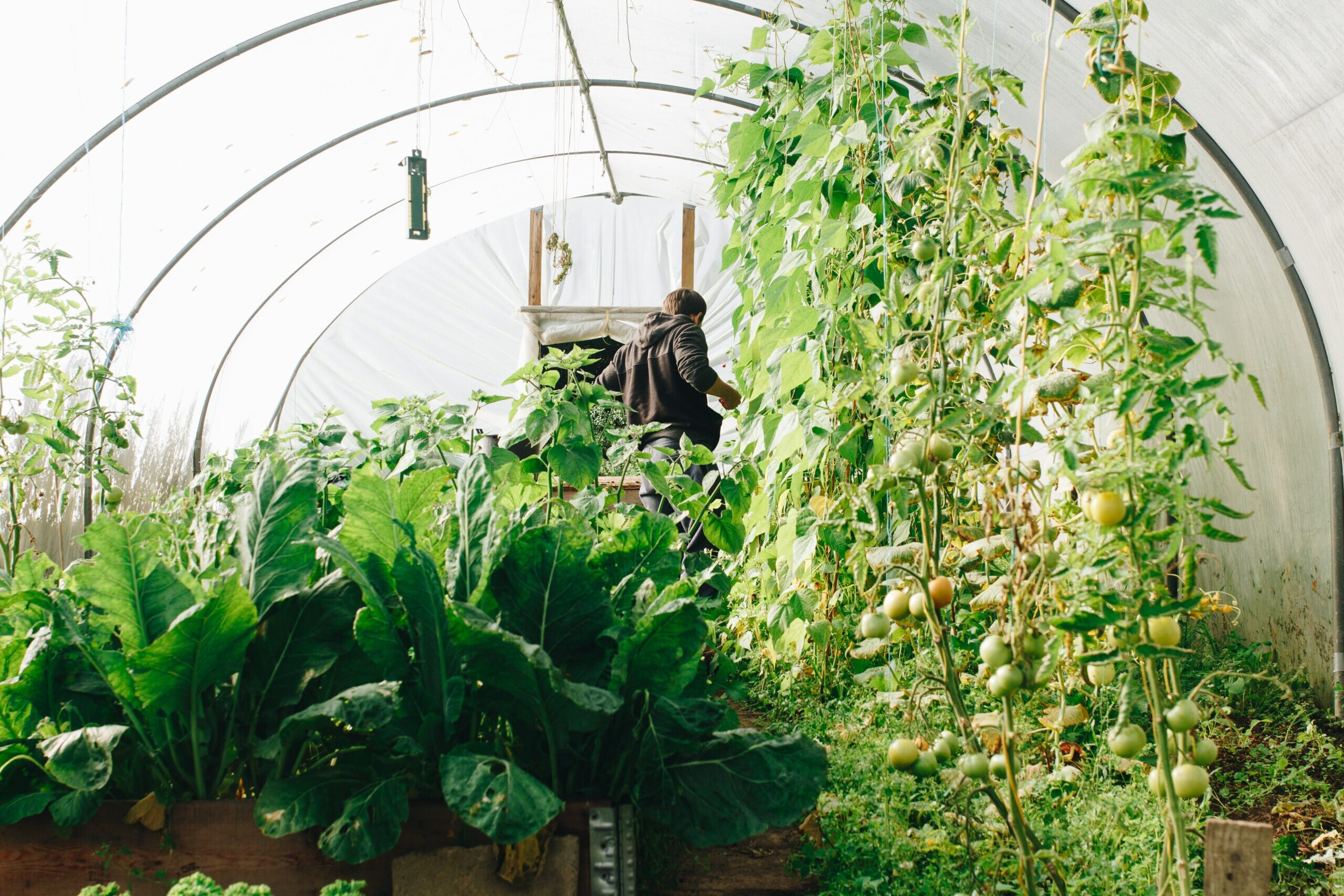 barbican conservatory