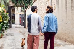 Male gay couple holding hands, walking down a path together with their small dog